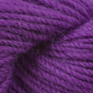 Viola (04216)
