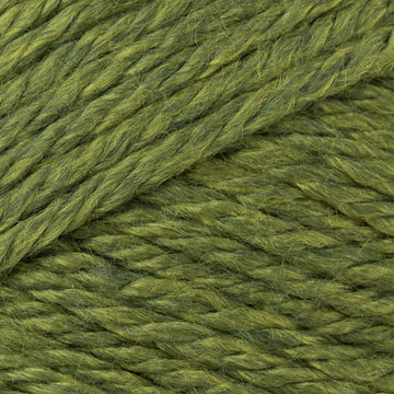 Moss Heather (63)