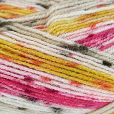 Plymouth Yarn Toybox Collection Rainbow Yarn - Acrylic Worsted