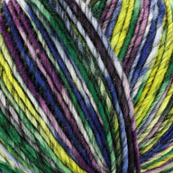 Northern Lights (2425)