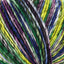 Northern Lights (2425)
