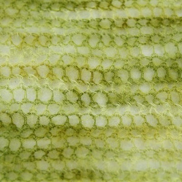 Plymouth Yarn Cape Town Collection Kid Gloss Hand Dyed