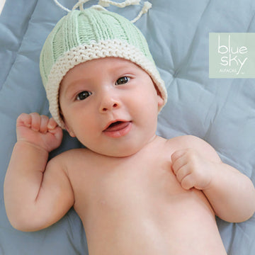 Blue Sky Fibers Baby's First Hat Knitting Pattern