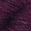 Fuchsia (77207)