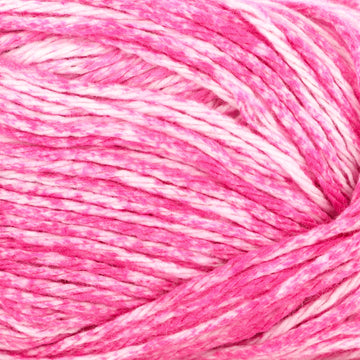 Zinnia (207)