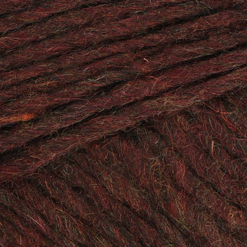 Sheep Sorrel (1237)