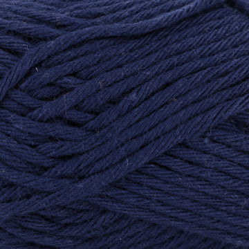 Navy (5)