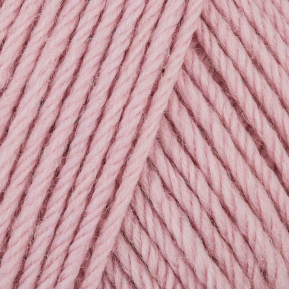 Willow & Lark Ramble