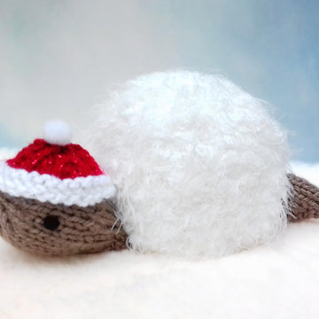 Snowy Christmas Tortoise - Chocolate Orange Cover