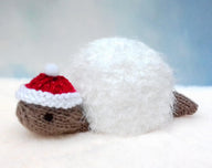 Snowy Christmas Tortoise - Chocolate Orange Cover