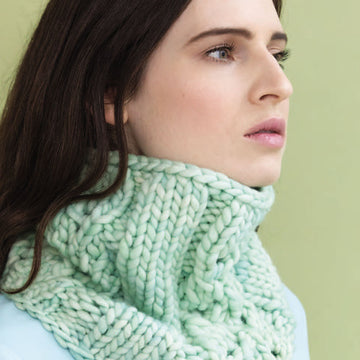 Murray Cowl in Malabrigo Rasta - PDF