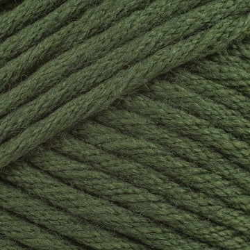 Lovage (5761)