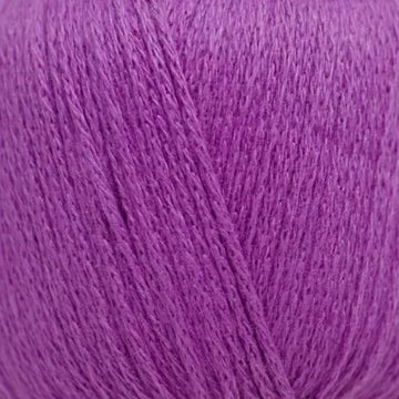 Fuchsia (201485)
