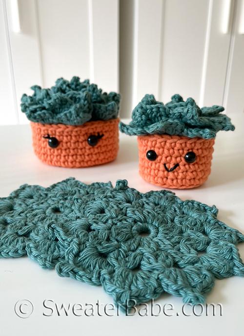 #358 Succulent Coaster Set