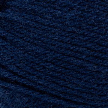 Navy (110)
