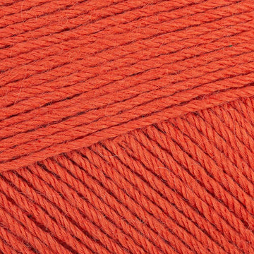 Burnt Orange (953)