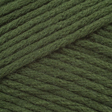 Lovage (9761)