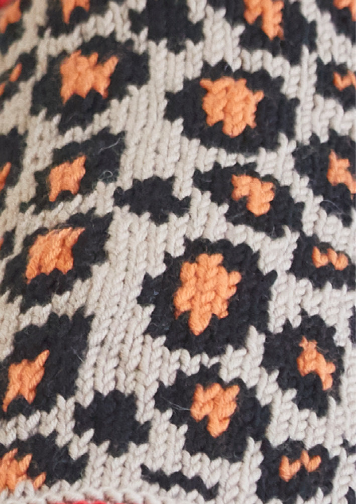 Debbie Bliss Leopard Pooch Knitting Pattern