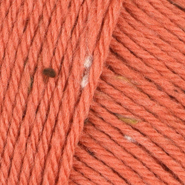 Orangutan (927)