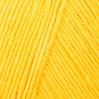 Sunny Surprise (101)