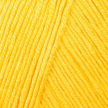 Sunny Surprise (101)