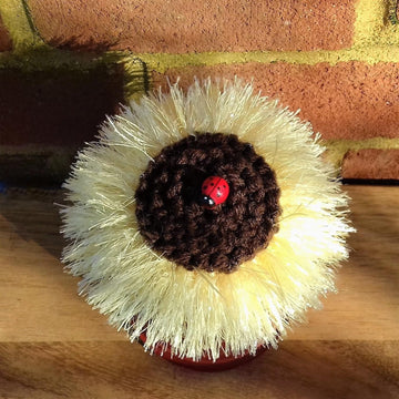 Sunflower - Chocolate Orange Cover