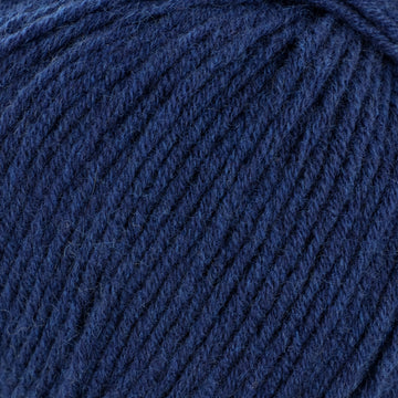 Navy (201277)