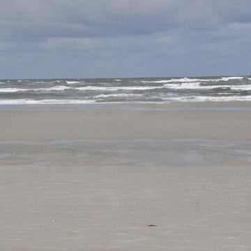 Surf (ahoi)