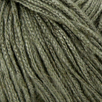 Khaki (81)