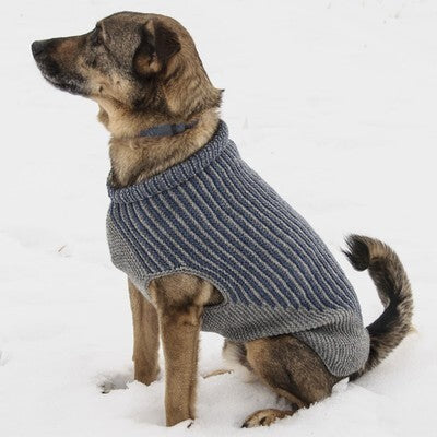 Blue Sky Fibers Bird Island Dog Sweater Knitting Pattern