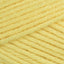 DuplSunflower (33122)