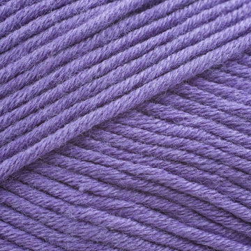 Violet (537)