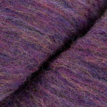 Petunia Heather (09)