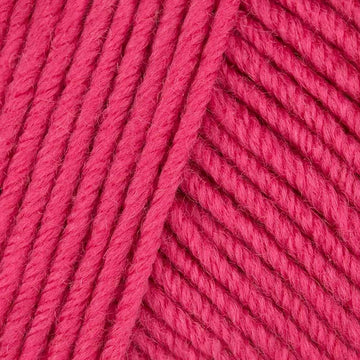 Fuchsia (143)