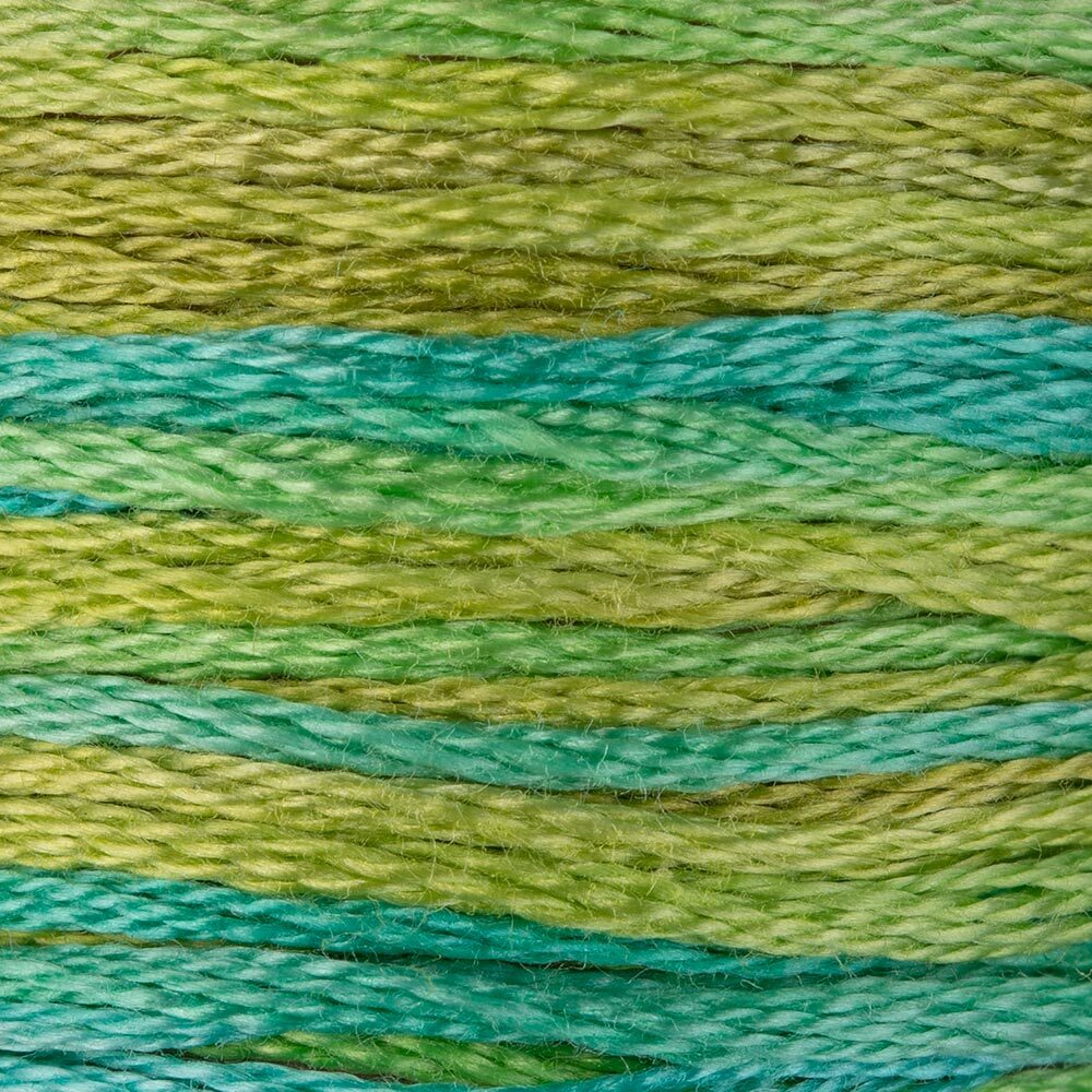 DMC Colour Variations Yarn