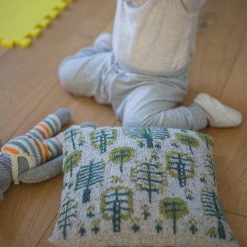 Tundra Cushion