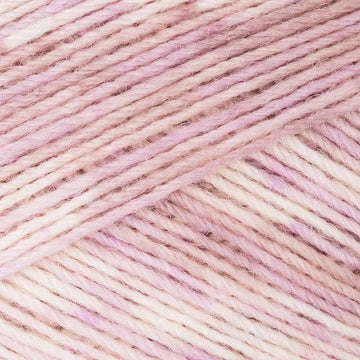 Peony (800)
