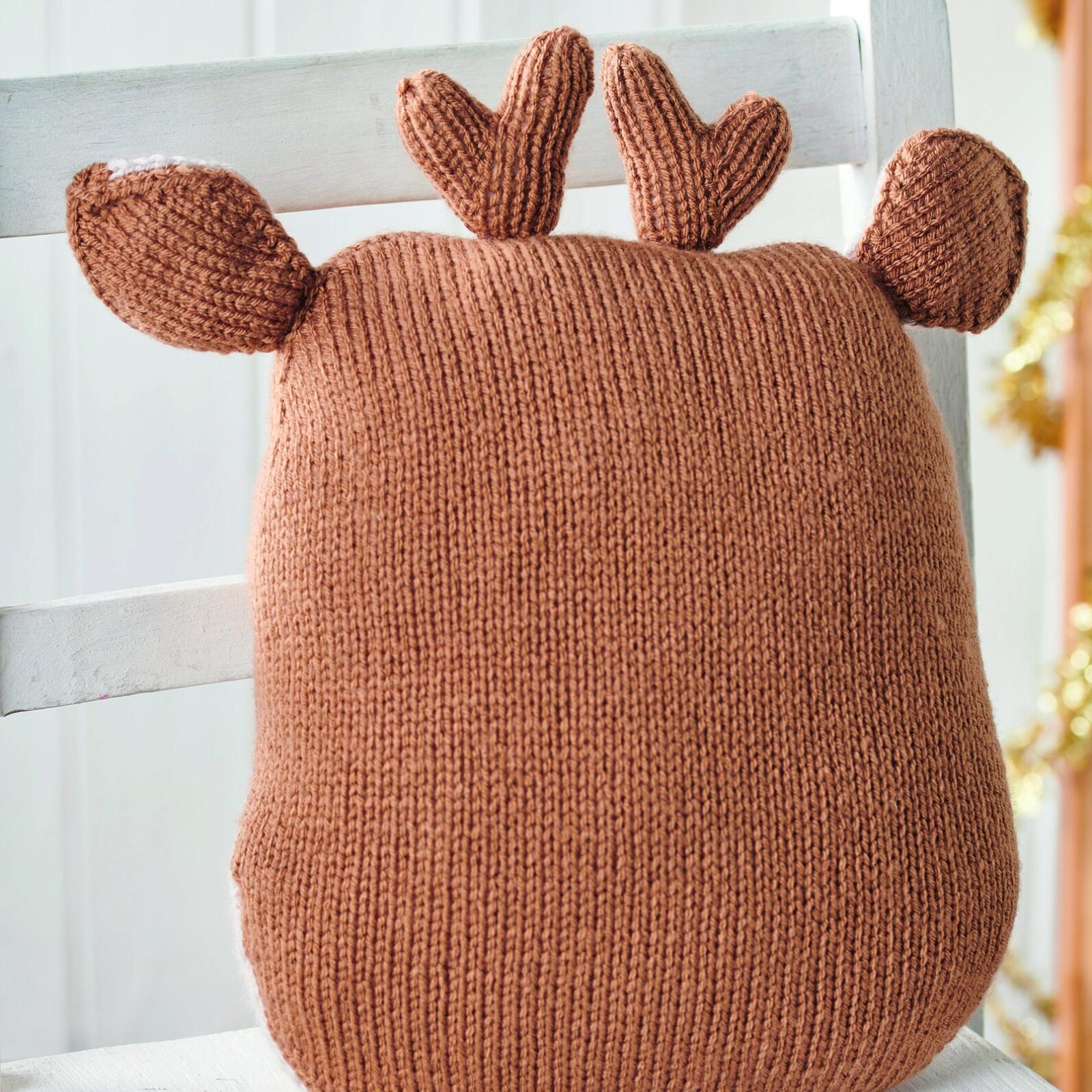 Red Nose Reindeer Cushion
