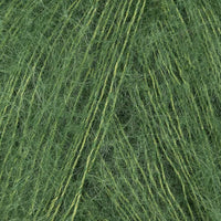 Fern (629)