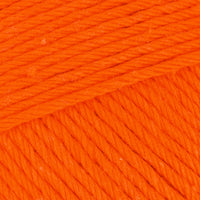Pumpkin (482)