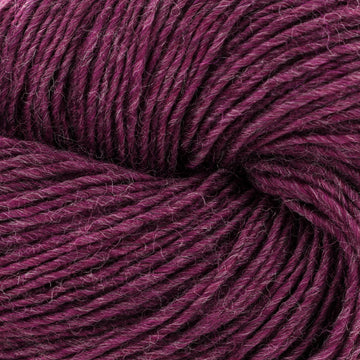 Pressed Grapes (2307)