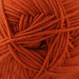 Pureed pumpkin (62)