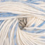 Blues (10101)