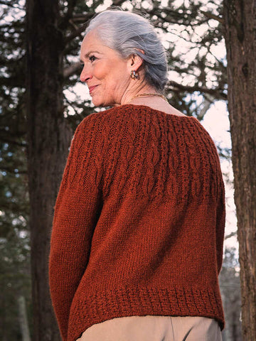 Leshi Pullover in Berroco Talara PDF