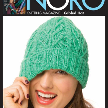 Noro Cabled Hat Knitting Pattern