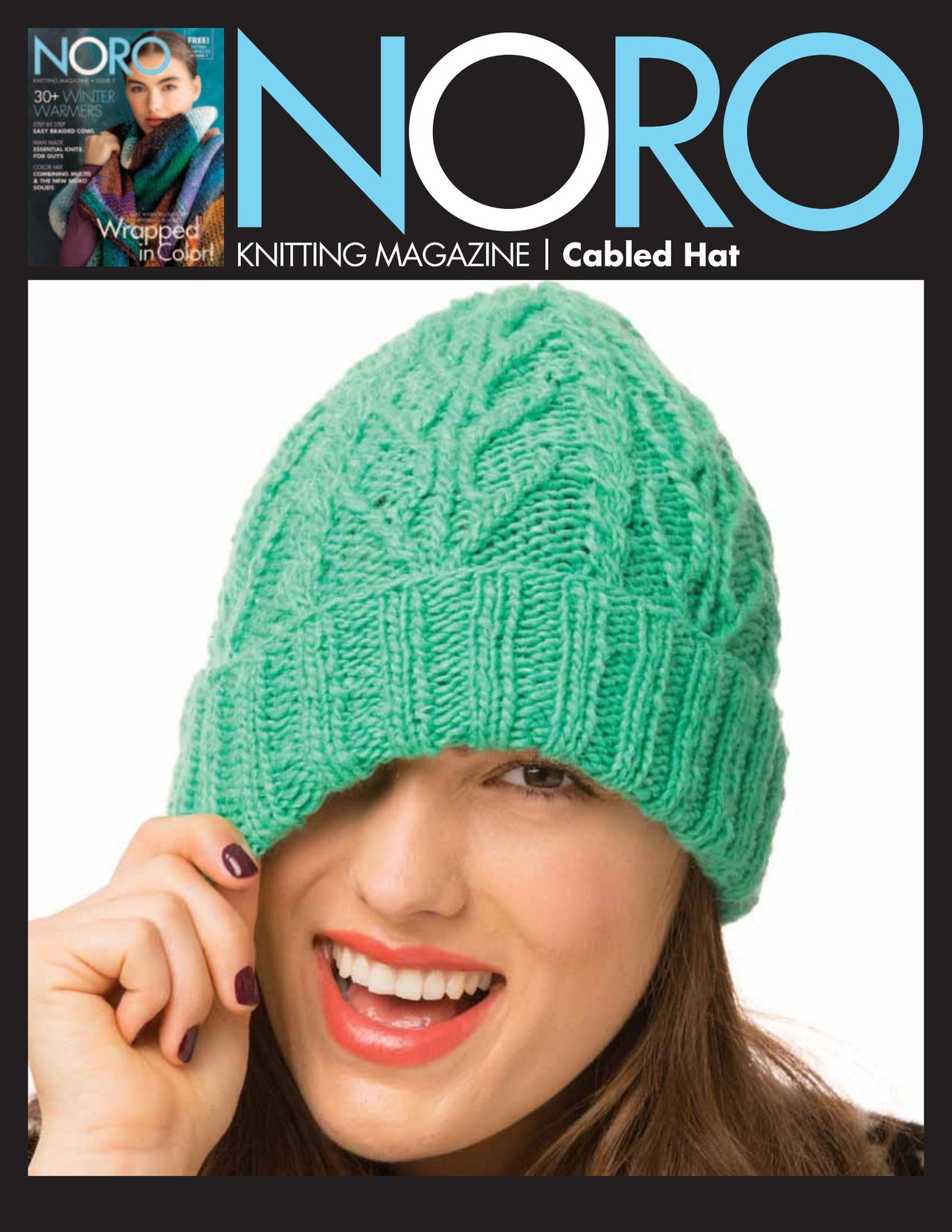 Noro Cabled Hat Knitting Pattern