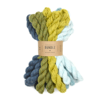 Blue Sky Fibers Woolstok Mini Hank Bundle Yarn - Wool Worsted