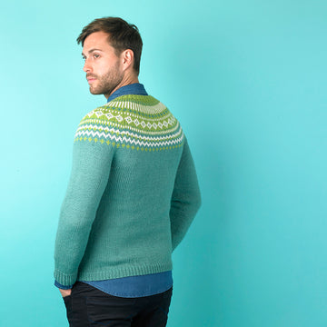 Paintbox Yarns Forest Fairisle Yoke Jumper Knitting Pattern