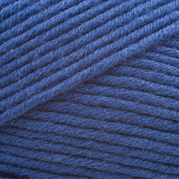 Blue (521)