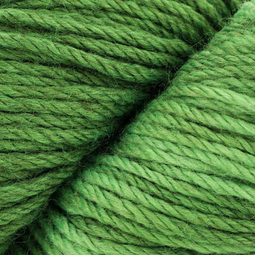 Forest Canopy (5227)